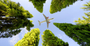 Aircraft flying over trees