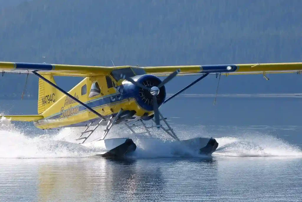 seaplanes docked