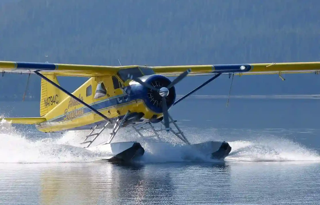 seaplanes docked