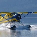 seaplanes docked