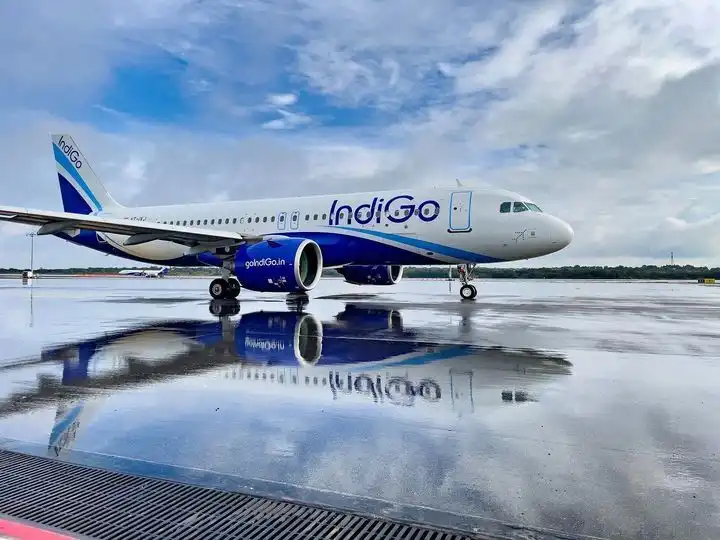 Indigo